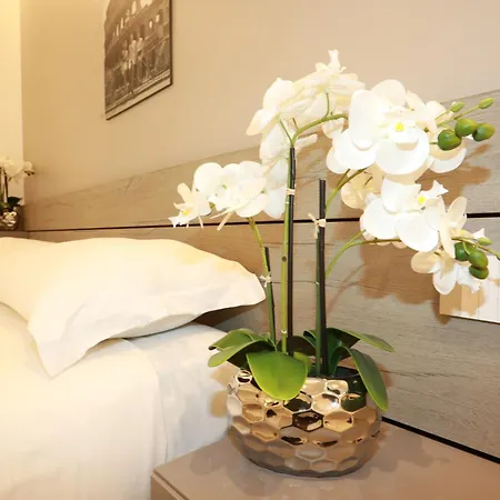 Unique Luxury 4*